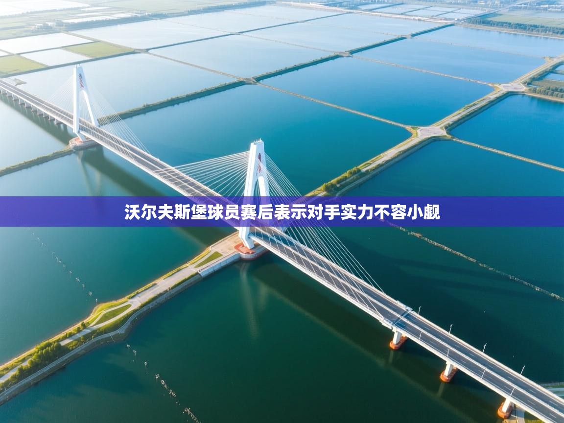 沃尔夫斯堡球员赛后表示对手实力不容小觑  第2张