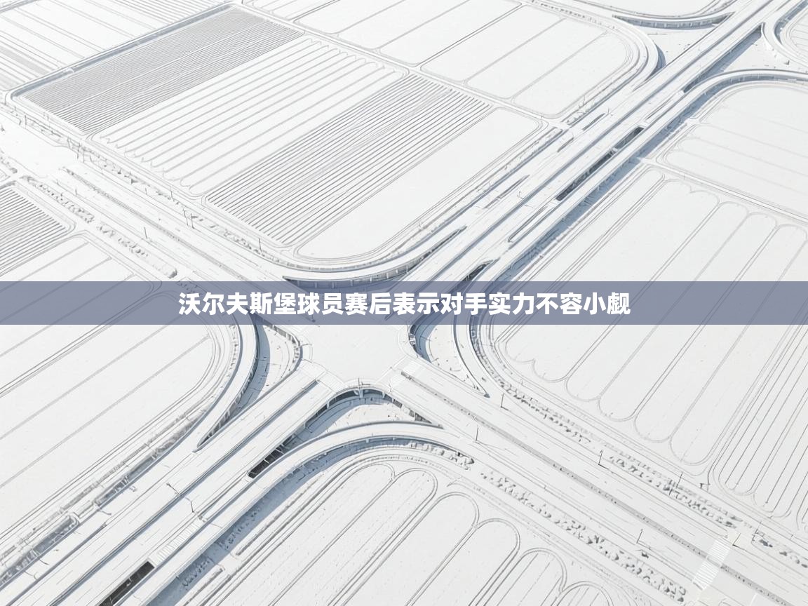 沃尔夫斯堡球员赛后表示对手实力不容小觑  第1张