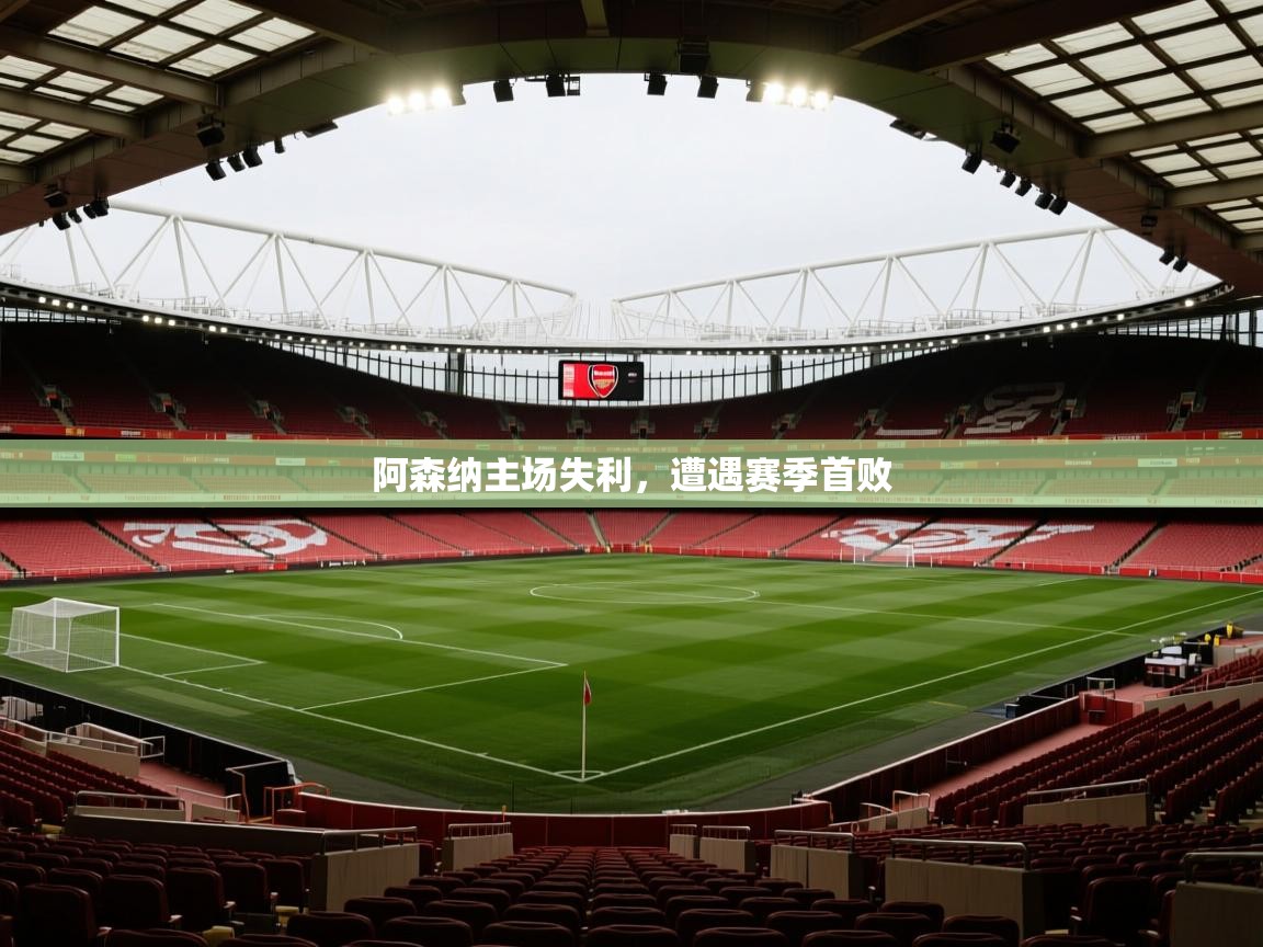 阿森纳主场失利，遭遇赛季首败  第1张